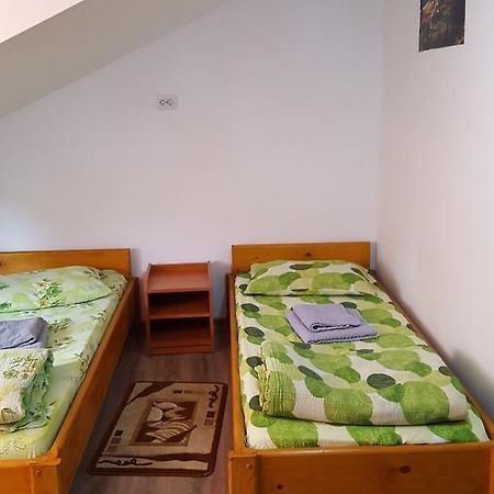 Вилла Casa Borcean Саска-Монтанэ Экстерьер фото