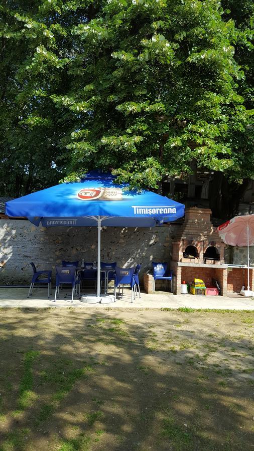 Вилла Casa Borcean Саска-Монтанэ Экстерьер фото
